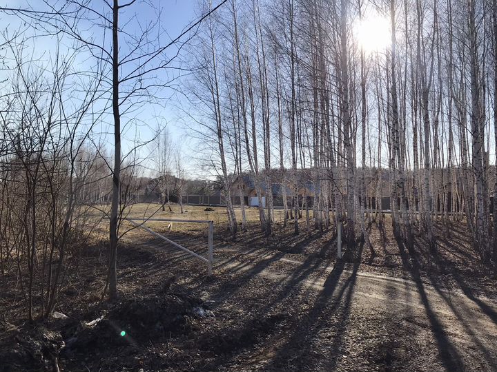 Участок 10 сот. (ИЖС)