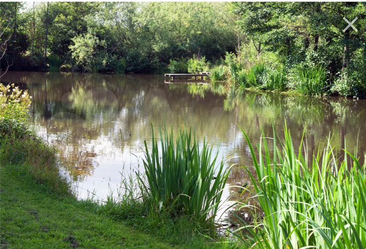 Участок 100 сот. (СНТ, ДНП)