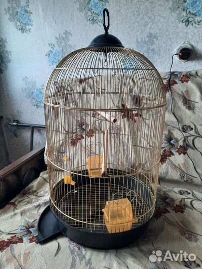 Клетка для попугая бу