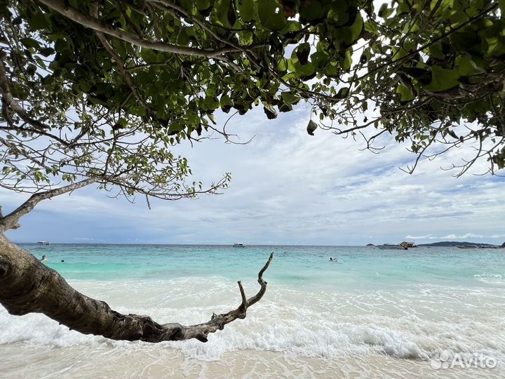 Путешествия