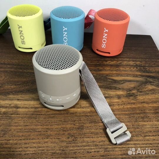 Портативная колонка Sony SRS-XB13