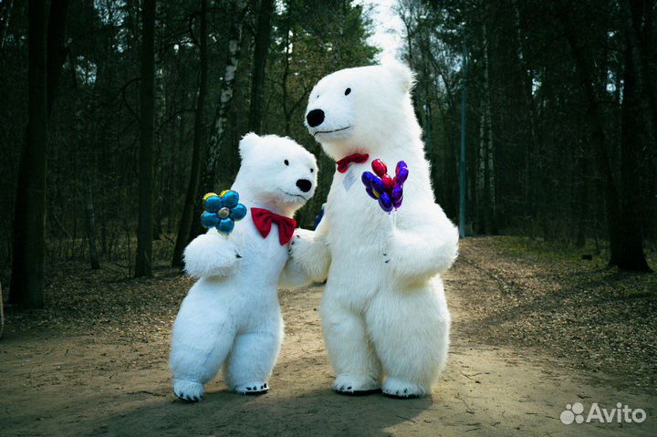 Белый медведь поздравительный домой