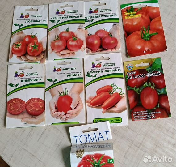 Рассада помидоров томатов