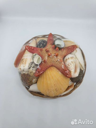 Ракушки Подарочный набор
