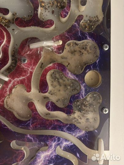 Муравьиная ферма