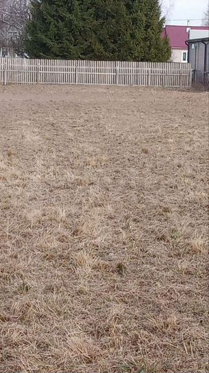 Участок 16 сот. (ИЖС)