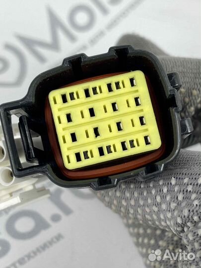 Жгут снегоход Тайга Атака основной (L31100320)