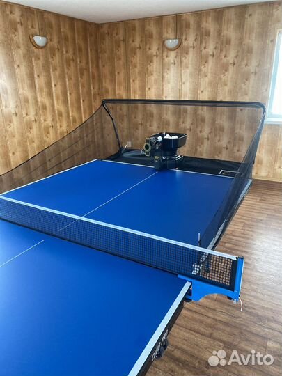 Настольный теннис