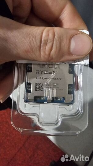 Amd ryzen 7 9800x3d