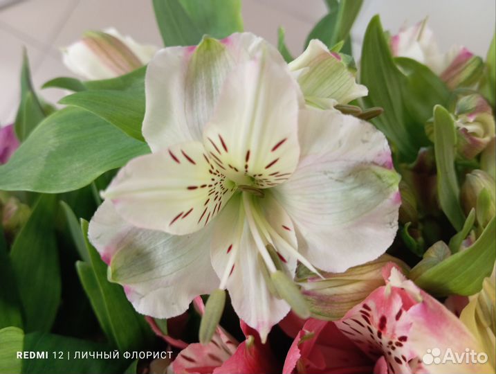 Букет из альстромерий