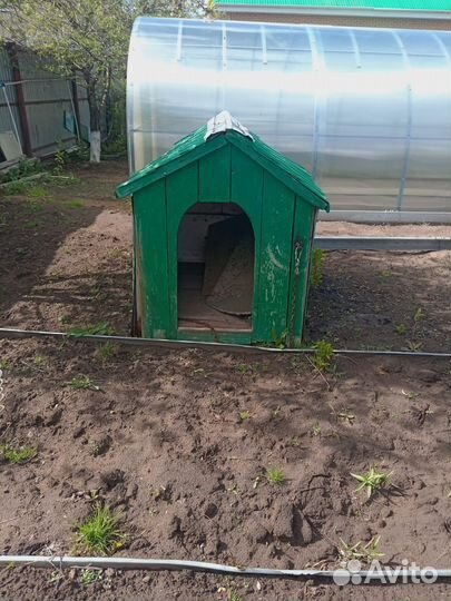 Будка для собаки