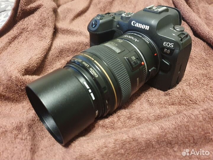 Беззеркальный фотоаппарат Canon eos R6 body