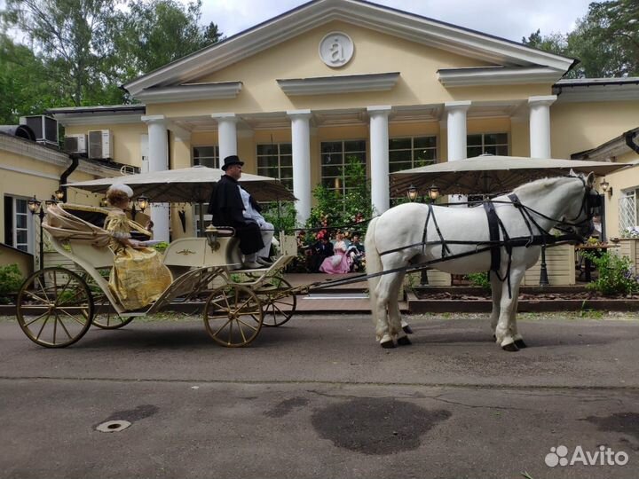 Прокат лошадей-обучение