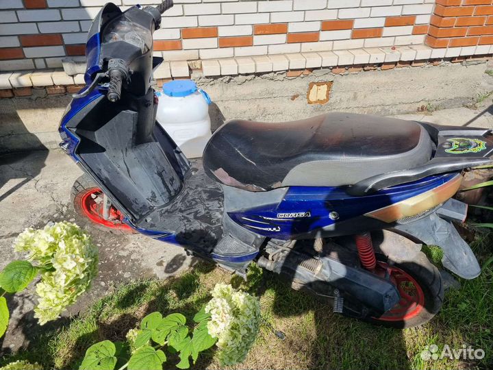 Продам Kansas Korsa