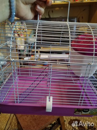 Клетка для грызунов