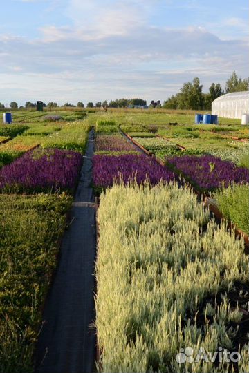 Разнорабочий вахтой с проживанием и питанием