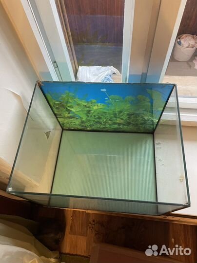 Аквариум