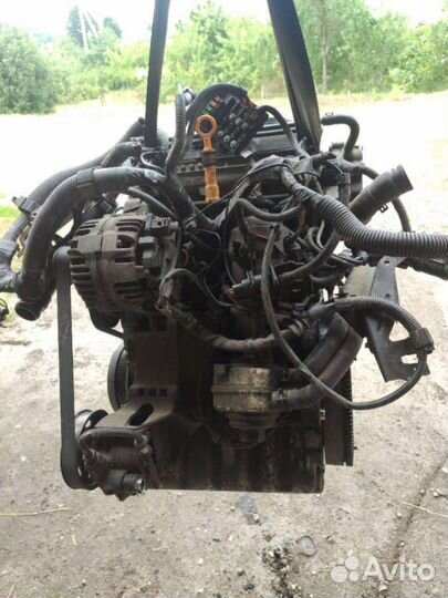 Двигатель Volkswagen Polo 4 (2001 - 2009) 1.4 amf