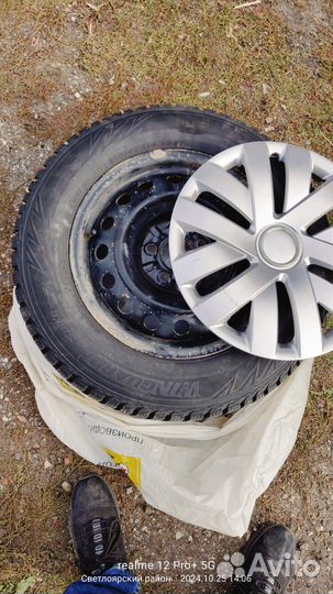 Nexen Winguard WinSpike WH62 215/65 R16 102