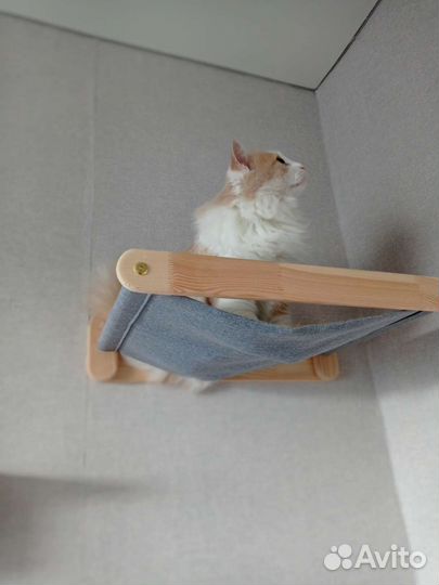 Гамак для кошек