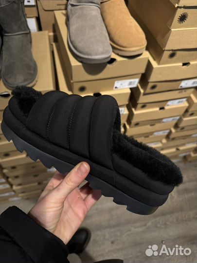 Тапки шлепки Ugg оригинал 38