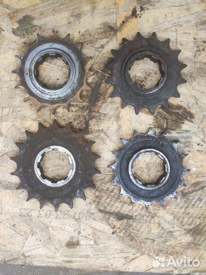 Ведущая Звезда Иж