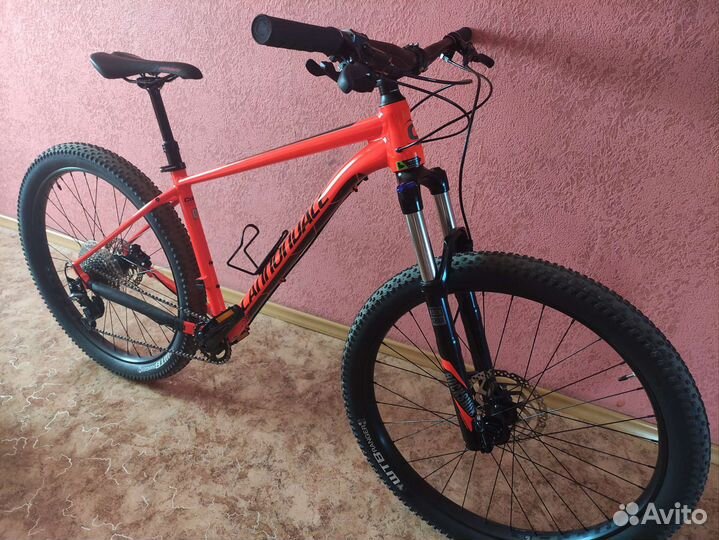 Cannondale Cujo 1