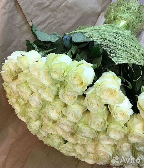 Высокие розы