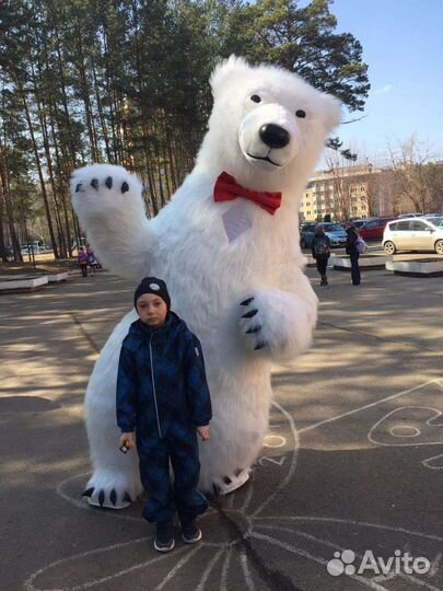 Белый мишка поздравление