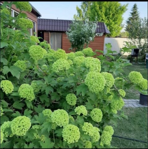 Дача 48,3 м² на участке 12 сот.