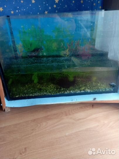 Аквариум