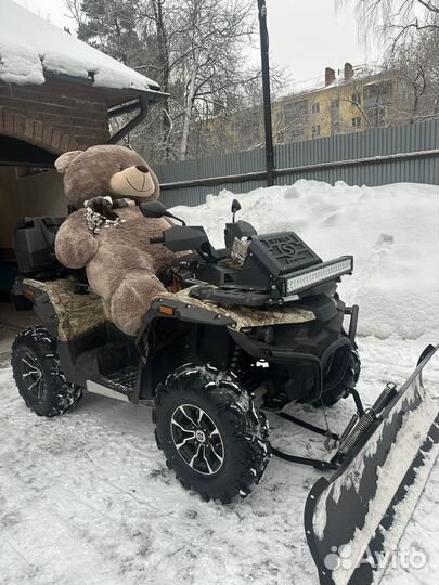 Большие плюшевые медведи