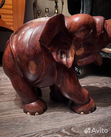 Слон. Германия