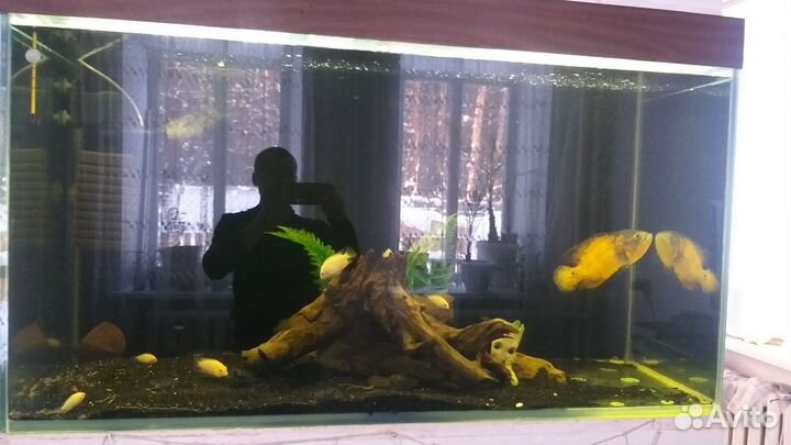 Аквариум