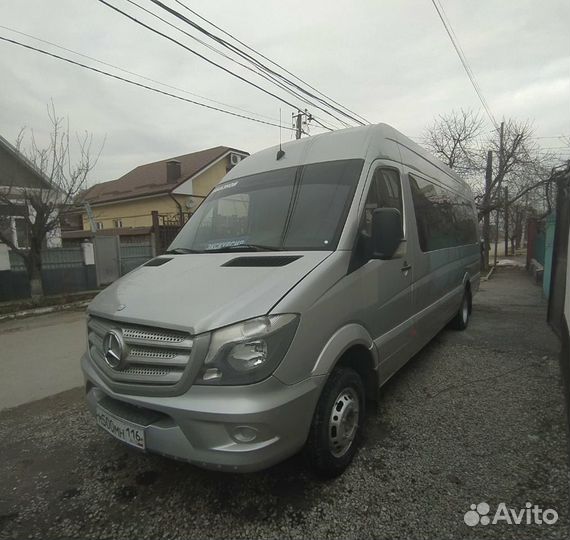 Пассажирские перевозки