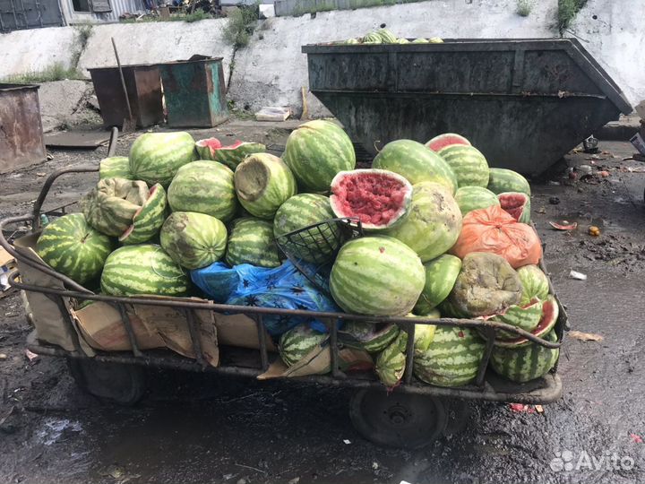 Отдам безвозмездно