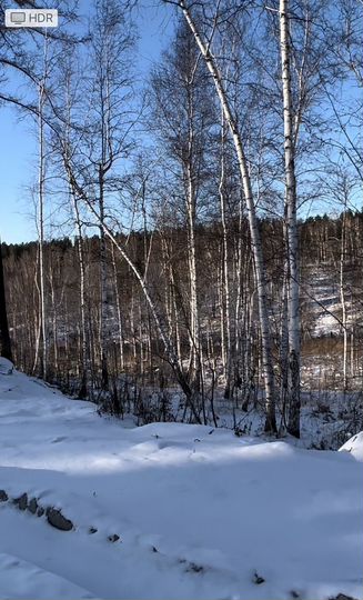 Участок 8 сот. (ИЖС)