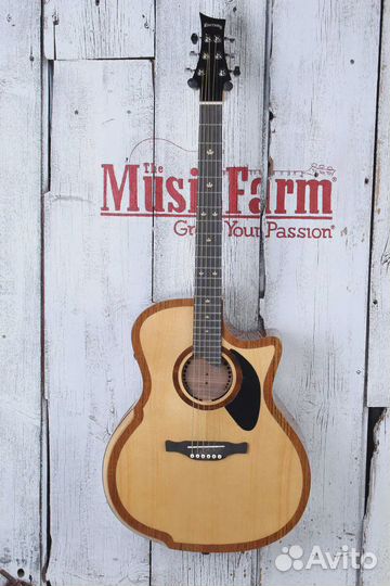 Электроакустическая гитара Riversong The River Pac