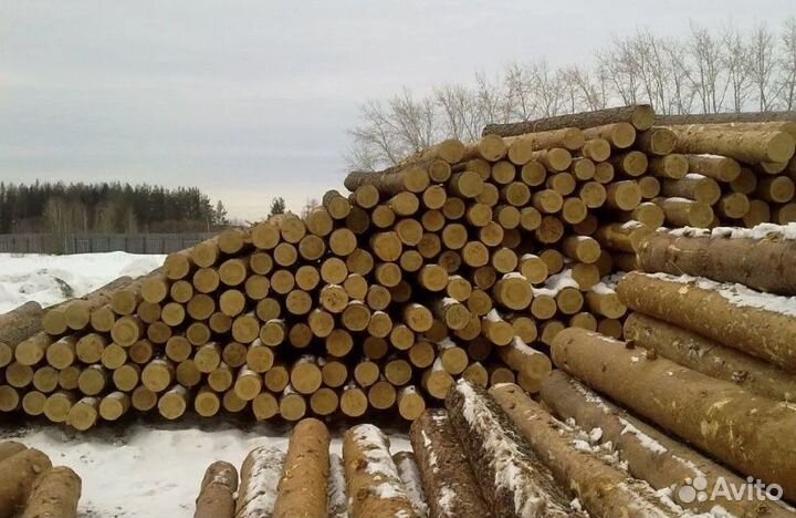 Пиловочник(сухостой)