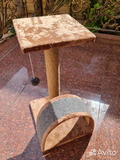 Когтеточка