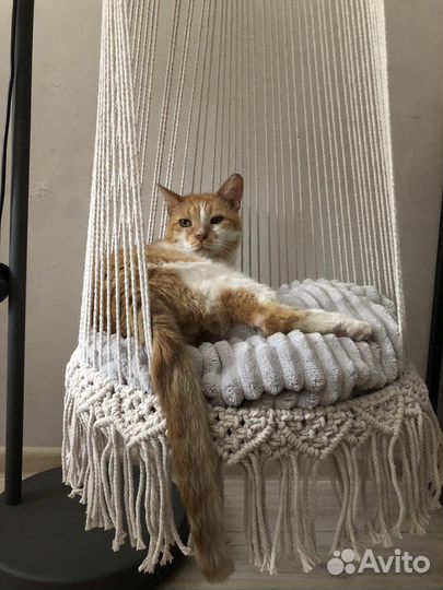 Гамак для кошек