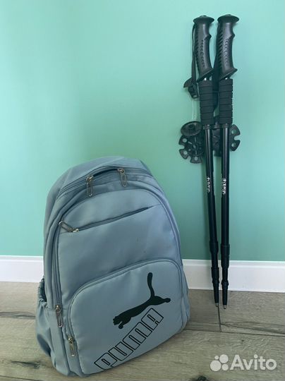 Палки для скандинавской ходьбы телескопические