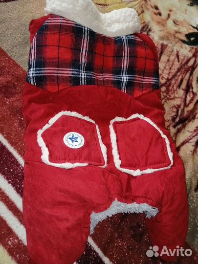 Зимний комбинезон на маленькую собачку