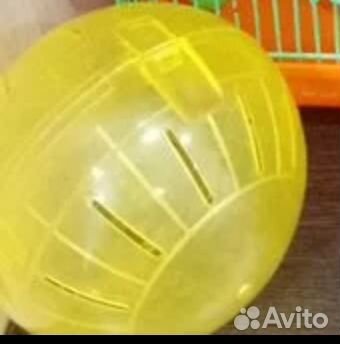 Прогулочный шар для грызунов