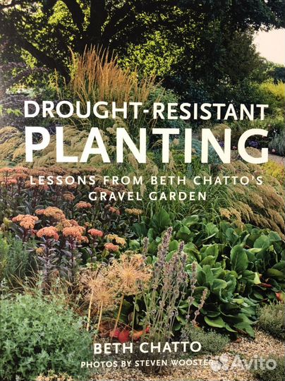 Бет Шатто Beth Chatto Засухоустойчивые цветники