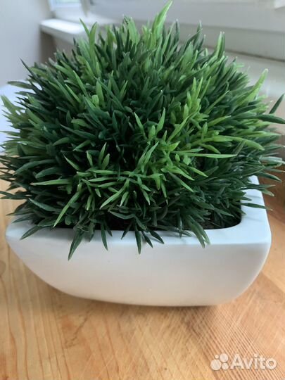 Crate&Barrel декор