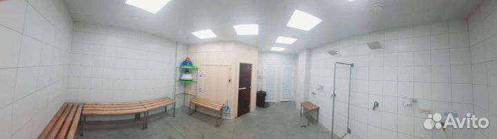 Готовый бизнес баня