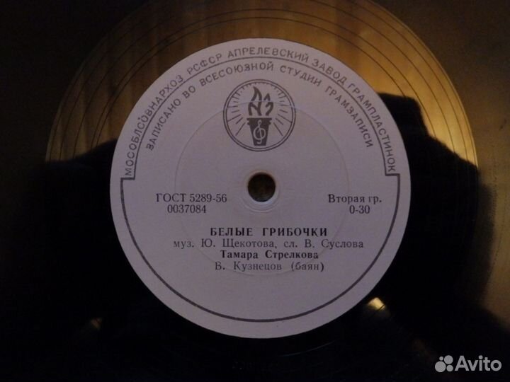 Тамара Стрелкова. Белые грибочки / Утушка луговая