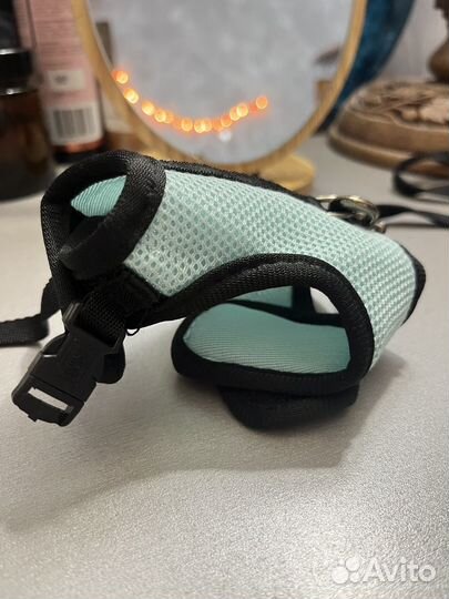 Шлейка для грызунов, крысы