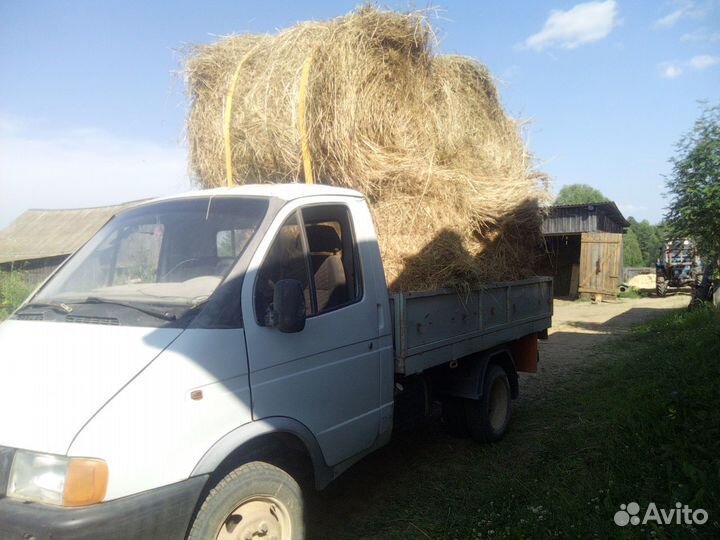 Продам сено в рулонах